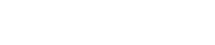 Paradise Dev®